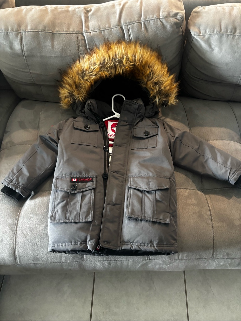 canada goose